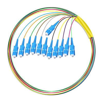 شراء HXCOWO 12 Core SC Bundle Tail Single Mode Telecom Grade Head And Tail Fiber Optic Pigtail التصنيع عبر الإنترنت